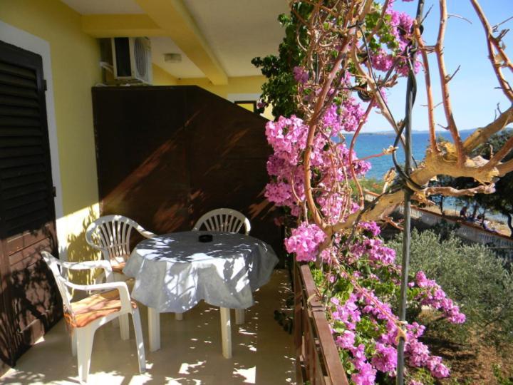 Puhalovic Apartament *