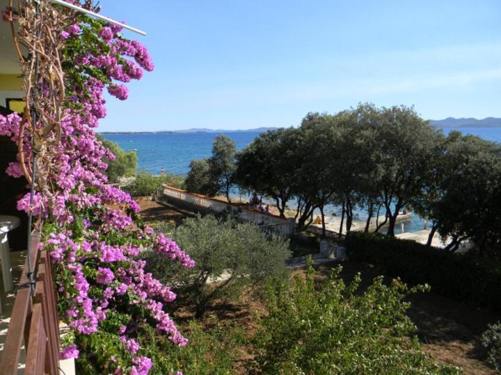 Puhalovic Zadar